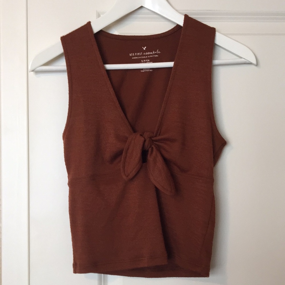 Fitted V-neck tie crop top by American Eagle